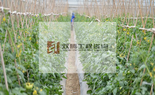 农业科技博览园绿色生态农业科技园项目