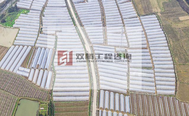 2022年巩固拓展脱贫攻坚成果蔬菜产业发展项目可行性研究报告