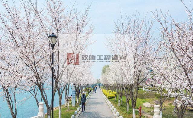 摄图网_500881560_wx_苏州独墅湖春季风光（非企业商用）.jpg