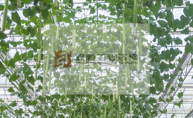 农产品仓储保鲜冷链物流项目可行性研究报告